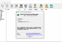 Internet Download Manager v6.41.10绿色版