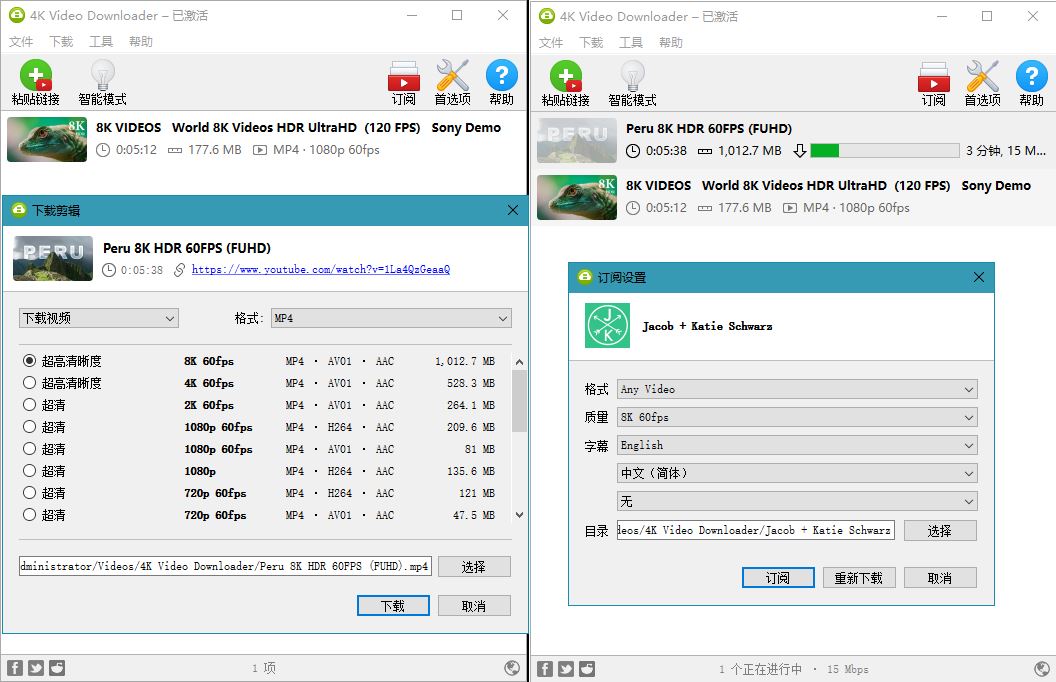 4K视频下载器4K Video Downloader v4.16.5