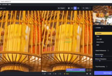 人工智能图像降噪软件Topaz DeNoise AI v3.7.2优化版