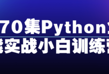 小白全能实战Python训练营课程